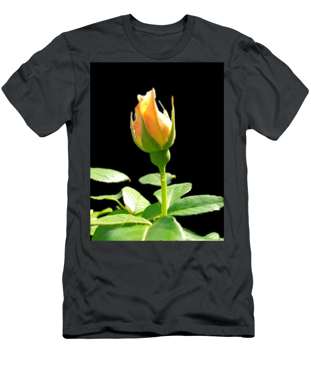 Roses T-Shirt featuring the photograph Rosebud by Leslie Manley