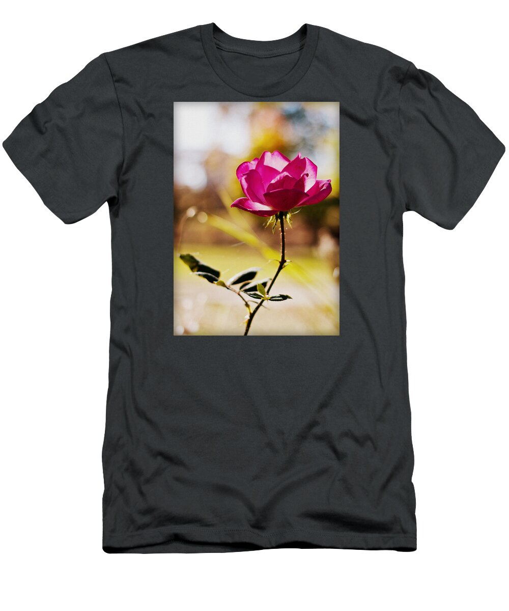 Flowers T-Shirt featuring the photograph Rosebud by Mike Dunn