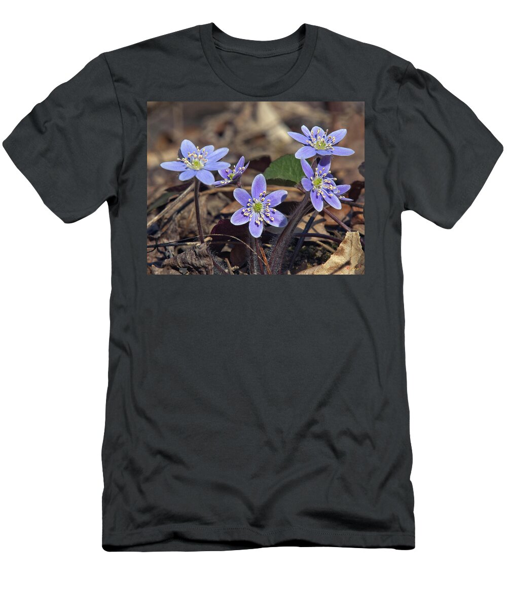 Flower T-Shirt featuring the photograph Round-lobed Hepatica DSPF116 by Gerry Gantt