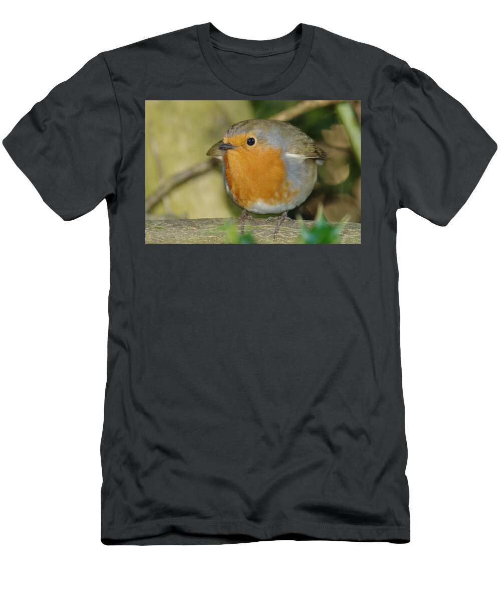 Robin T-Shirt featuring the photograph Round Robin by Adrian Wale