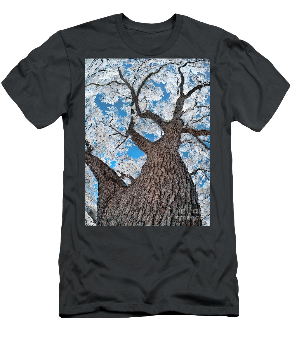 Top Artist T-Shirt featuring the photograph Royal Live Oak in Infrared by Norman Gabitzsch