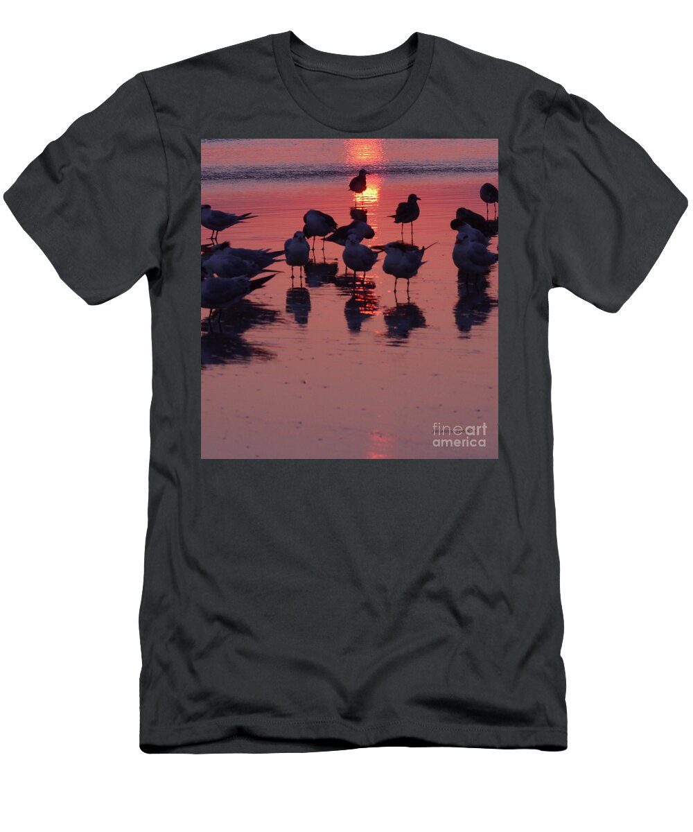 Seashore Prints T-Shirt featuring the photograph Royal Tern Sunrise 11-19-16 by Julianne Felton