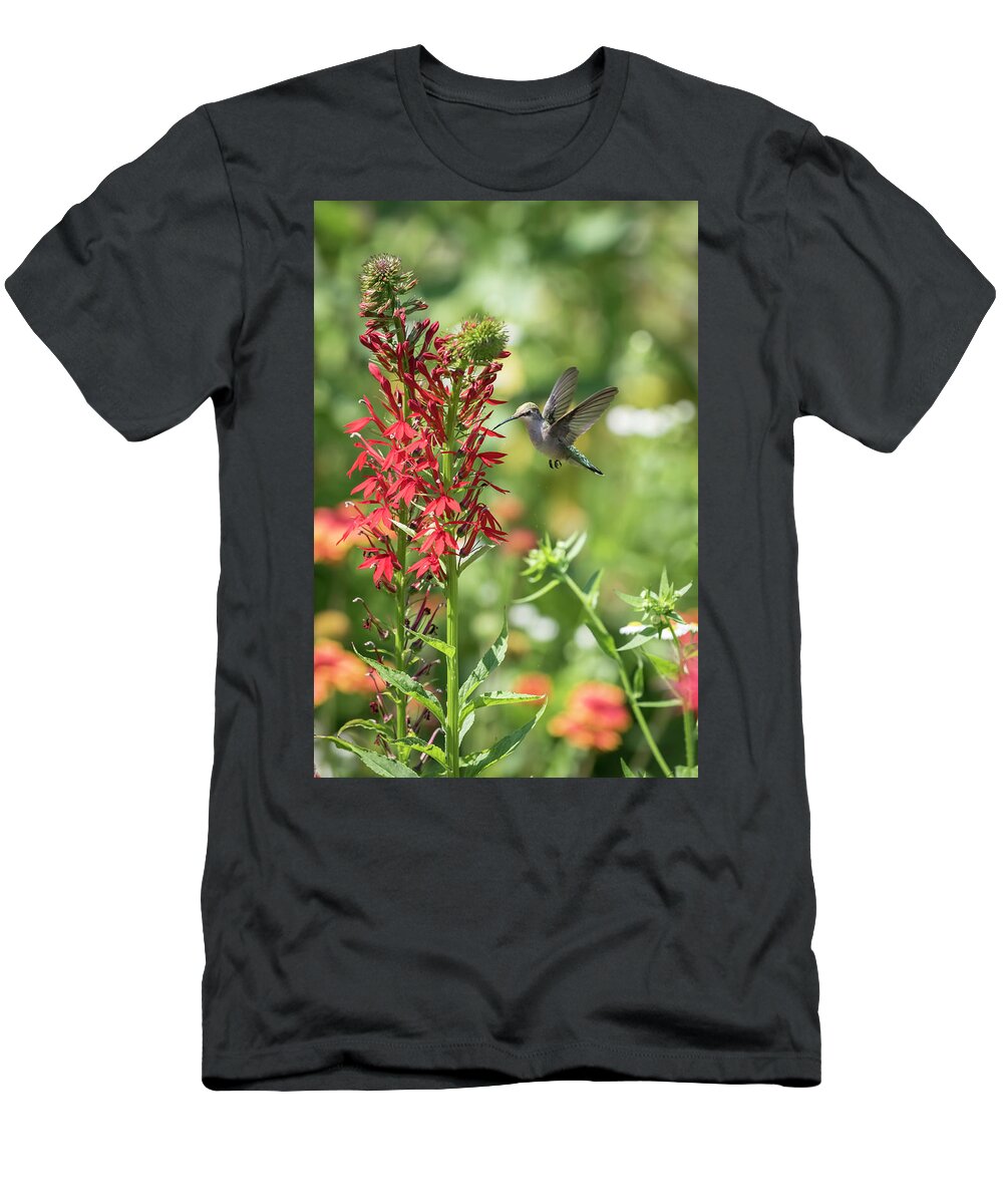 Ruby Throated Hummingbird T-Shirt featuring the photograph RubyThroated Hummingbird 2016-3 by Thomas Young