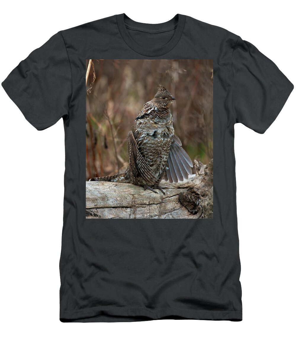 Ruffled T-Shirt featuring the photograph Ruffled Grouse drumming by Gary Langley