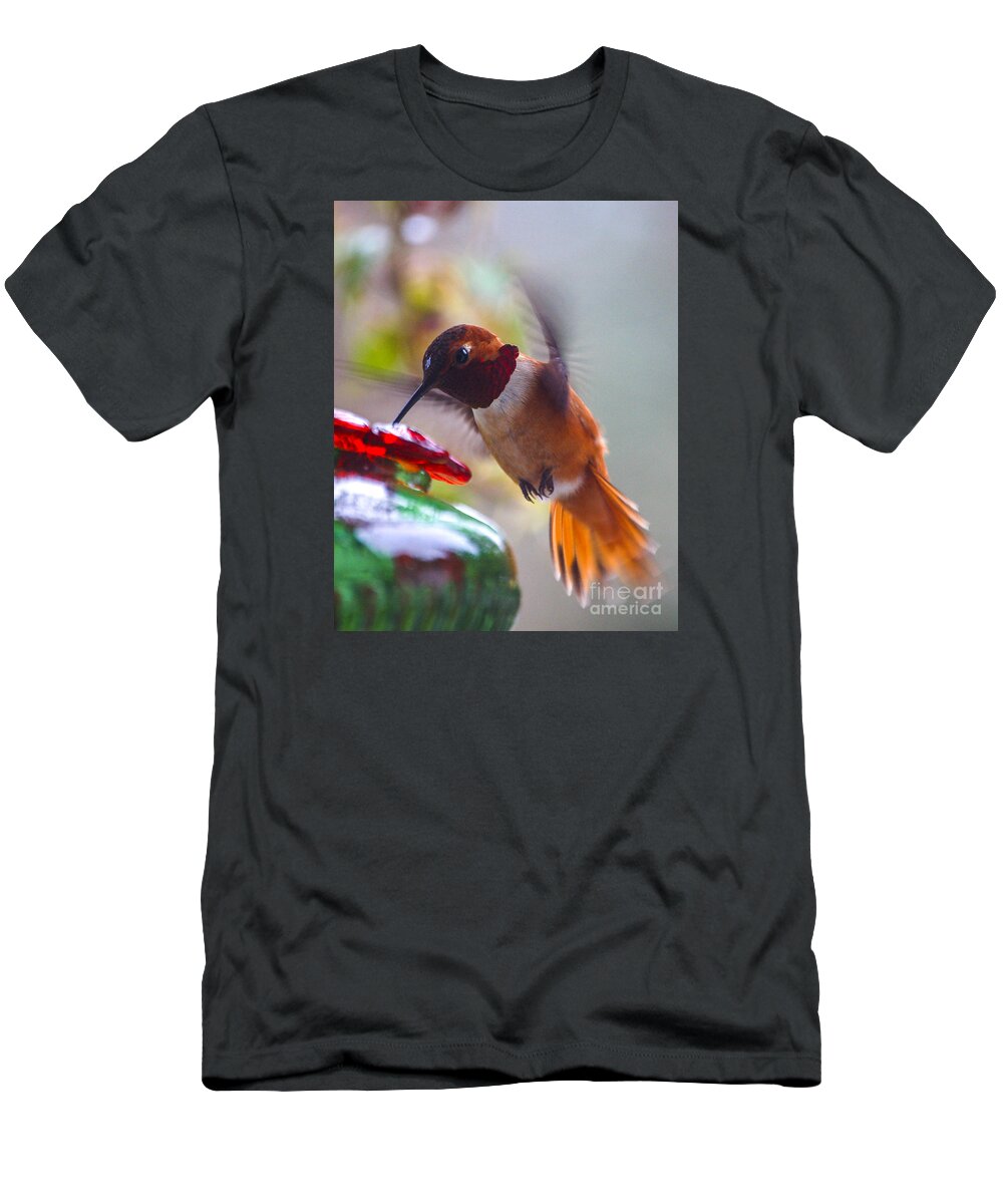 Rufus T-Shirt featuring the photograph Rufus Hummingbird at the Feeder by Chuck Flewelling