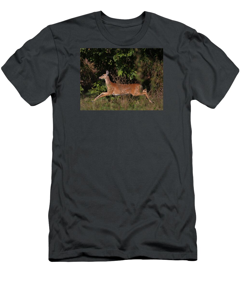 Deer T-Shirt featuring the photograph Running Deer by Dart Humeston