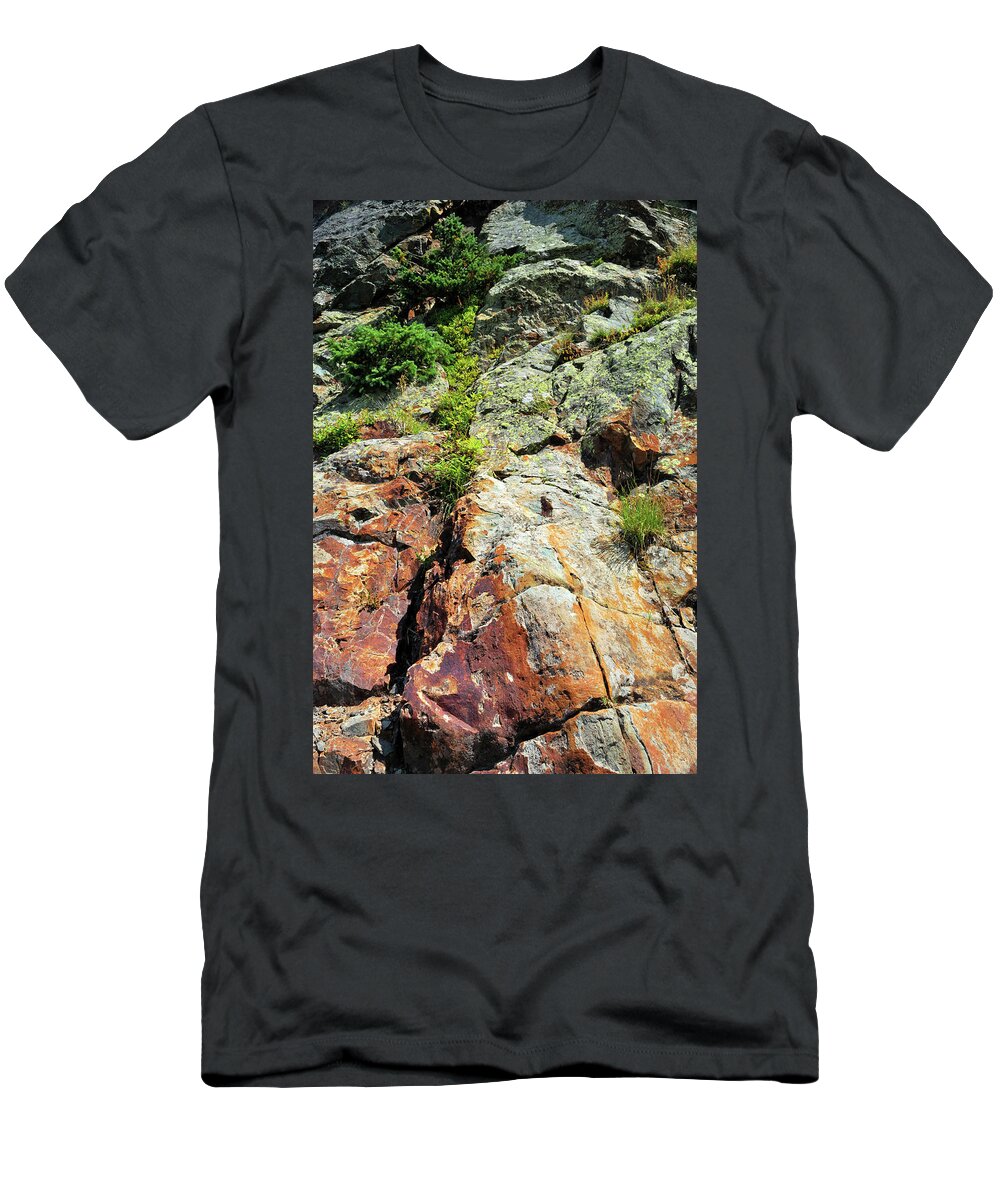 Rock T-Shirt featuring the photograph Rusty Rock Face by Ron Cline