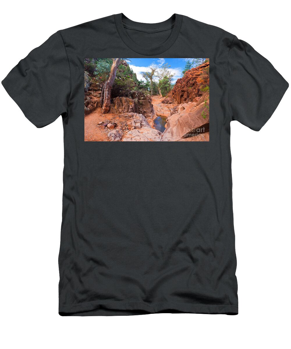 Sacred Canyon Flinders Ranges South Australia Australian Landscape Landscapes Outback Gum Trees Tree Water Erosion T-Shirt featuring the photograph Sacred Canyon by Bill Robinson