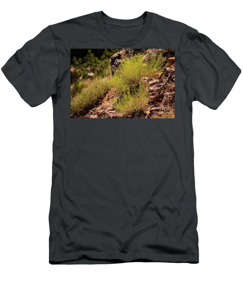 Jon Burch T-Shirt featuring the photograph Sage by Jon Burch Photography