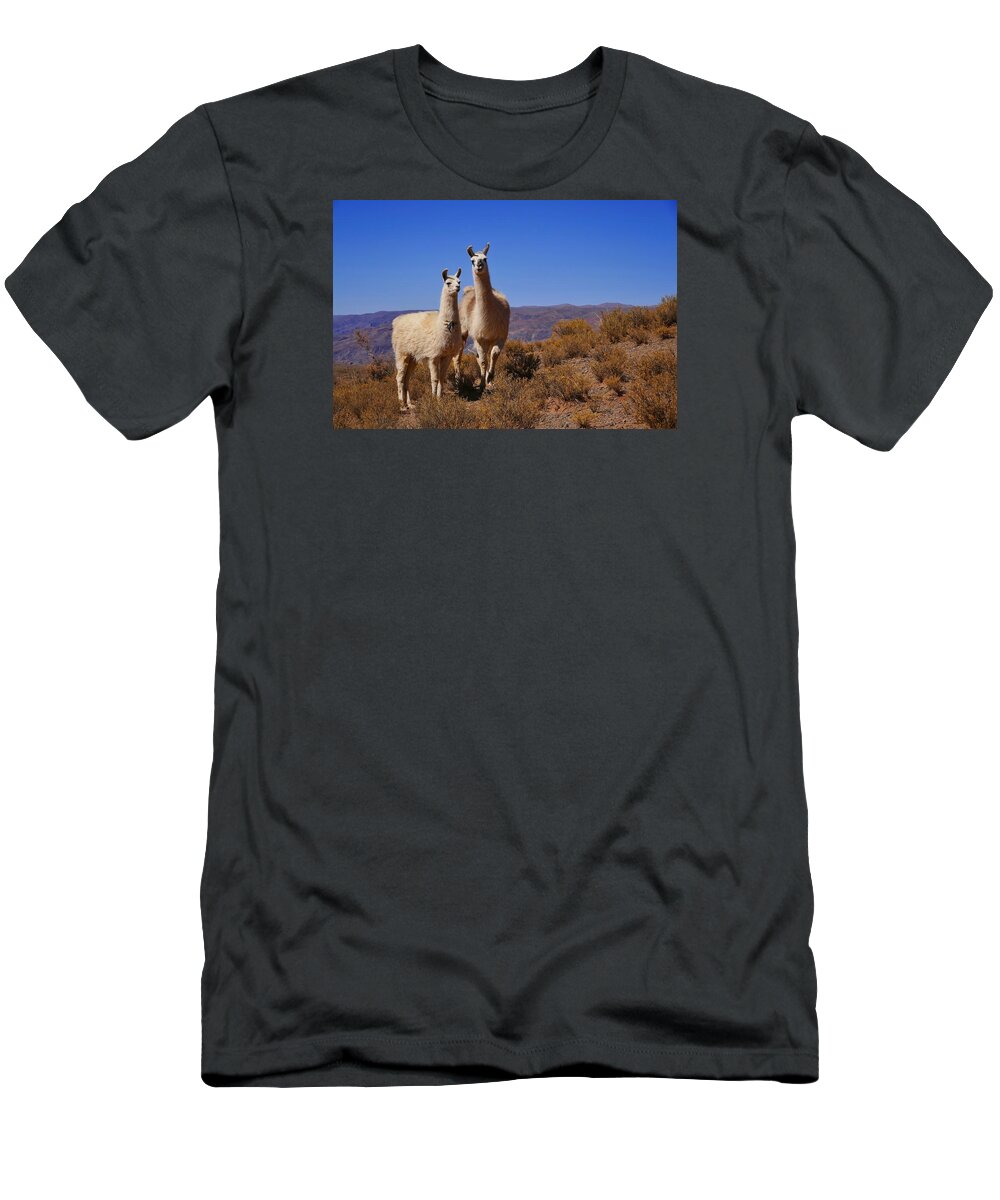 Salar De Uyuni Tour 5 T-Shirt featuring the photograph Salar de Uyuni Tour 5 by Skip Hunt