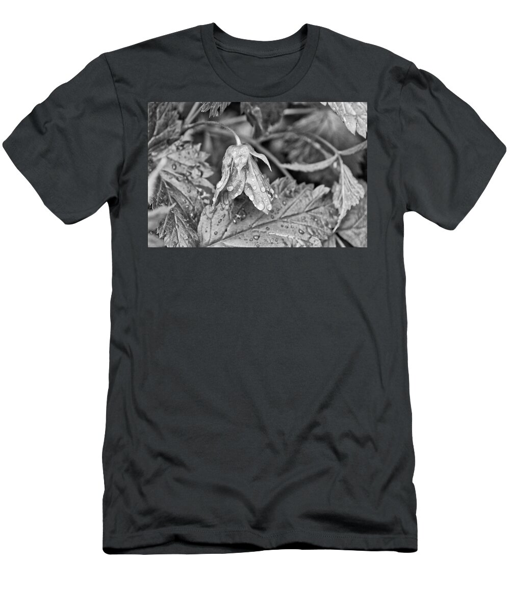 Salmonberry T-Shirt featuring the photograph Salmonberry Flower in the Rain Monochrome by Cathy Mahnke