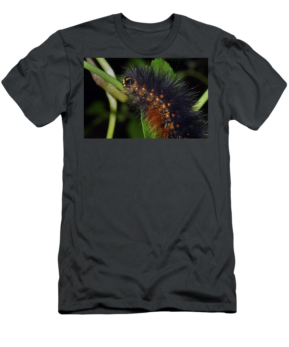 Photograph T-Shirt featuring the photograph Salt Marsh Caterpillar by Larah McElroy