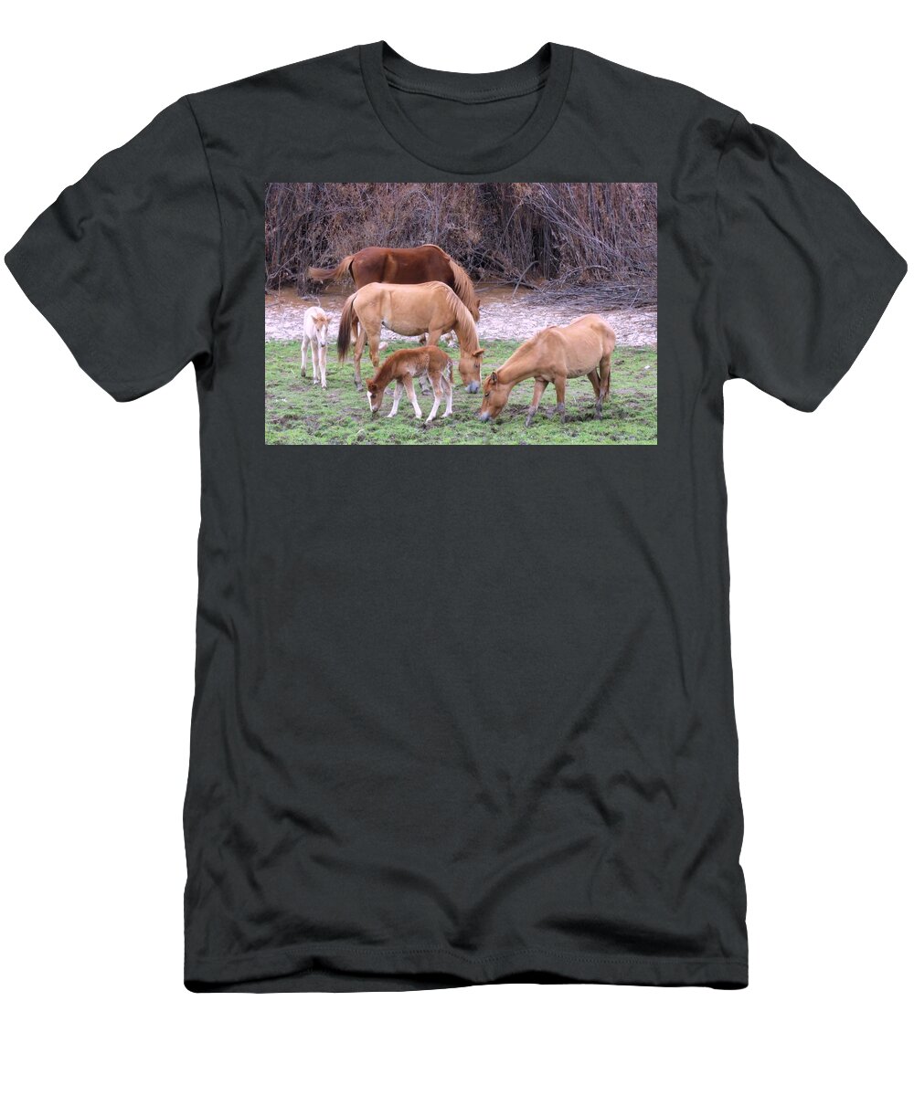 Arizona T-Shirt featuring the photograph Salt River Wild Horses in Winter by Judy Kennedy