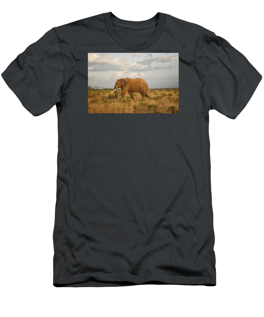 Gary Hall T-Shirt featuring the photograph Samburu Giant by Gary Hall