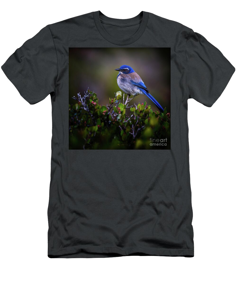 Blue Bird T-Shirt featuring the photograph San Diego Bluebird by Doug Sturgess