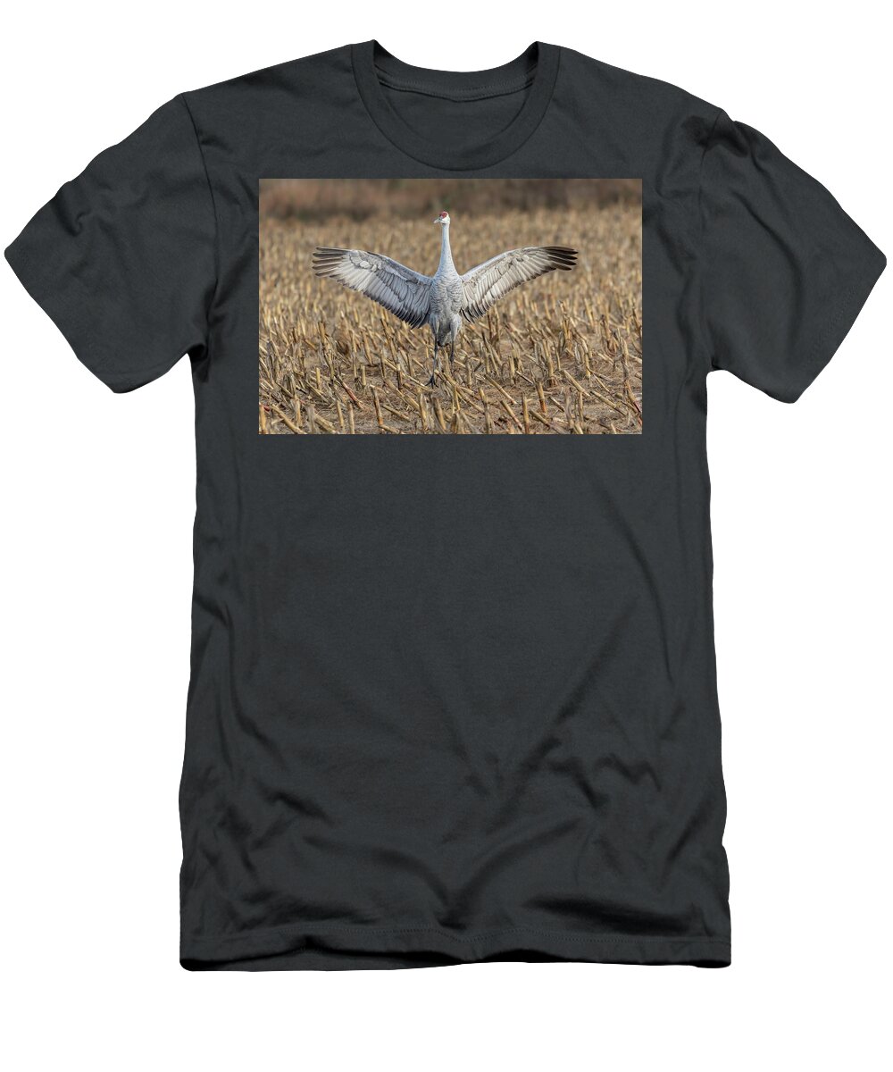 Sandhill Crane T-Shirt featuring the photograph Sandhill Crane 2017-5 by Thomas Young
