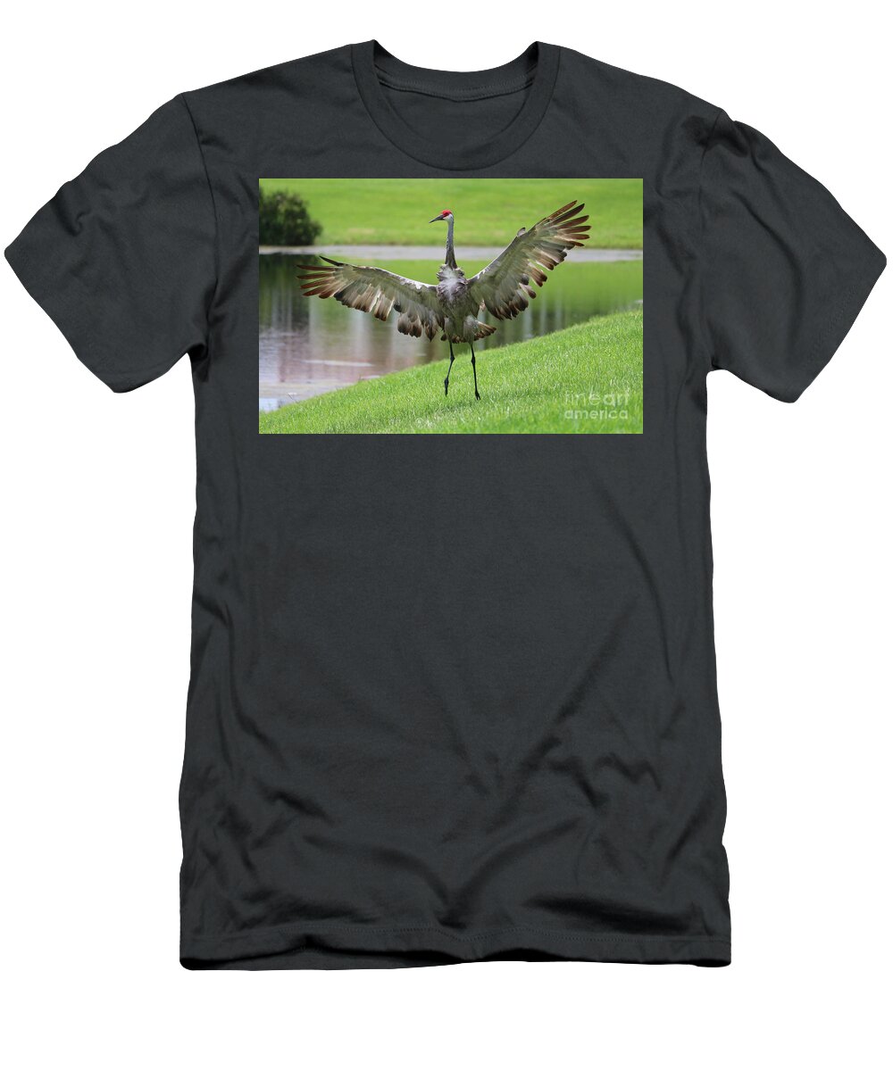 Florida Sandhill Crane T-Shirt featuring the photograph Sandhill Crane Courtship Dance 6 by Carol Groenen