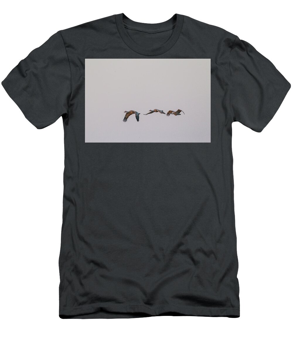 Sandhill Crane T-Shirt featuring the photograph Sandhill Crane Flying 2 by Kathy Adams Clark
