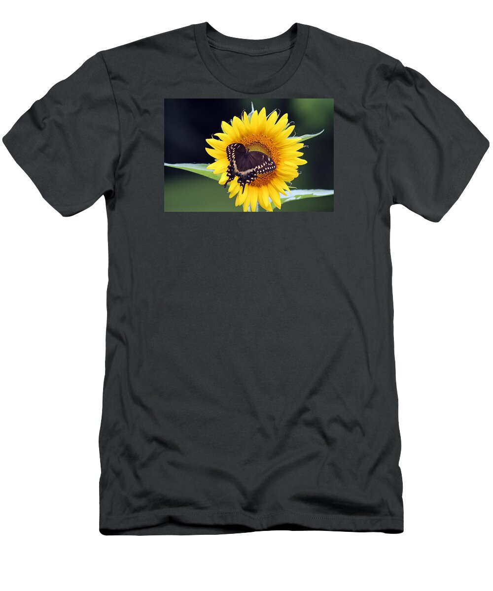 Butterfly T-Shirt featuring the photograph Satisfaction by DB Hayes
