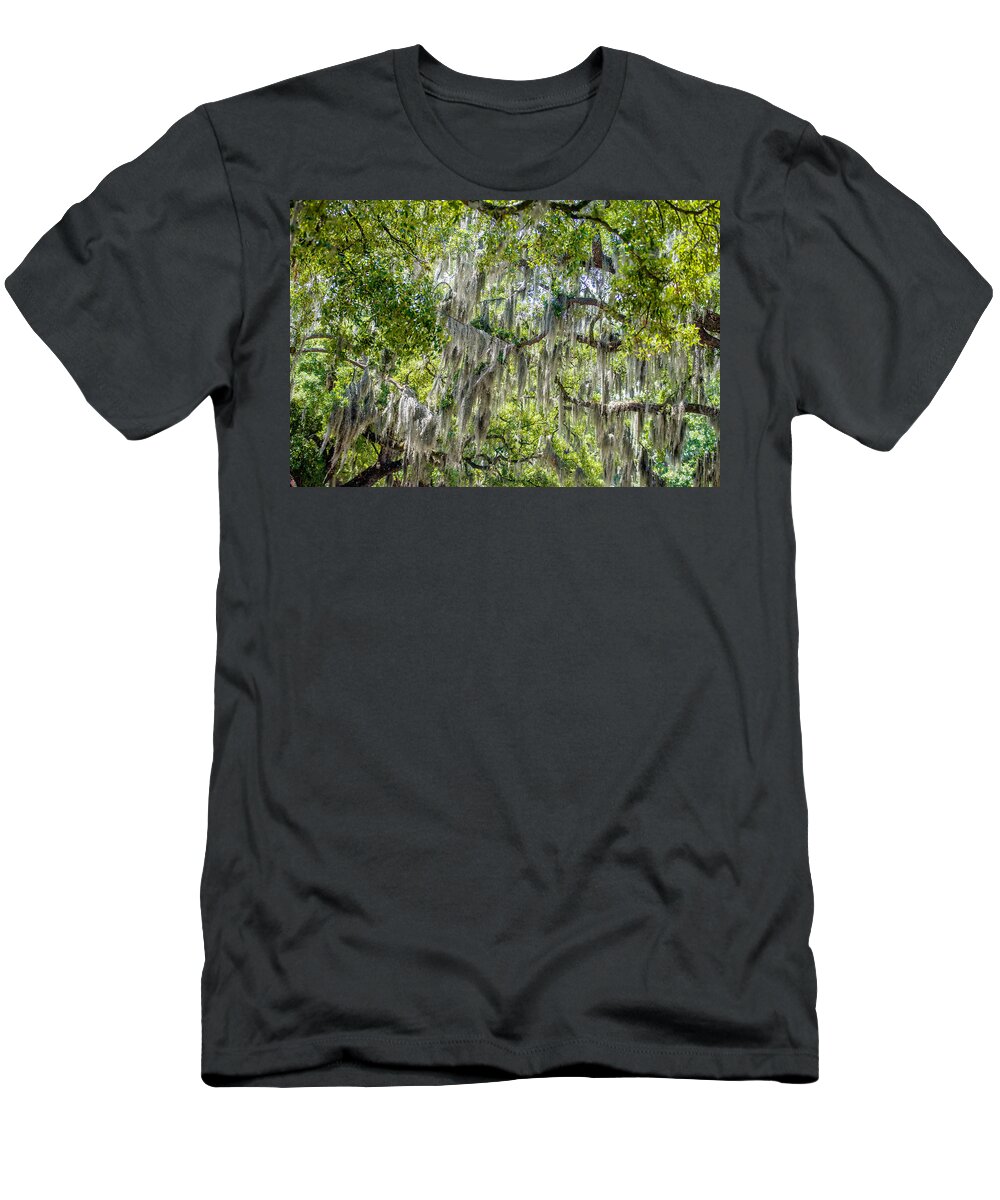 Georgia T-Shirt featuring the photograph Savannah Georgia oak tree lined streets by Alex Grichenko