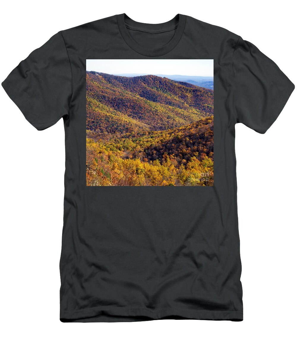 Scenic Tours T-Shirt featuring the photograph Scene 8x8 by Skip Willits