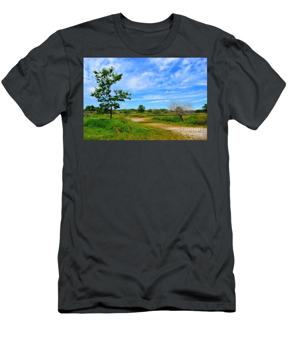Path T-Shirt featuring the photograph Scene at Silver Sands by Dani McEvoy
