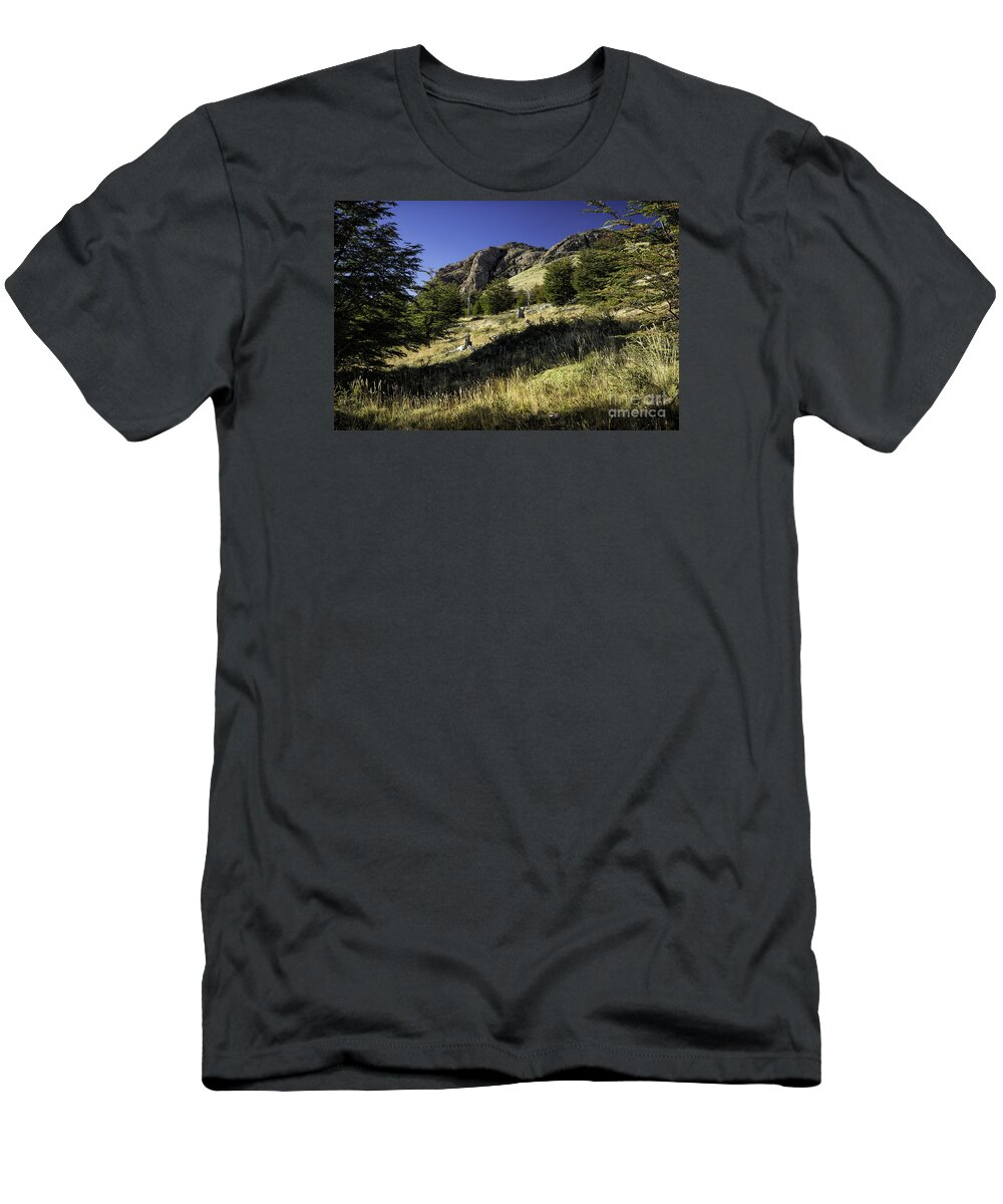 Patagonia T-Shirt featuring the photograph Scenic Overlook Patagonia 3 by Timothy Hacker