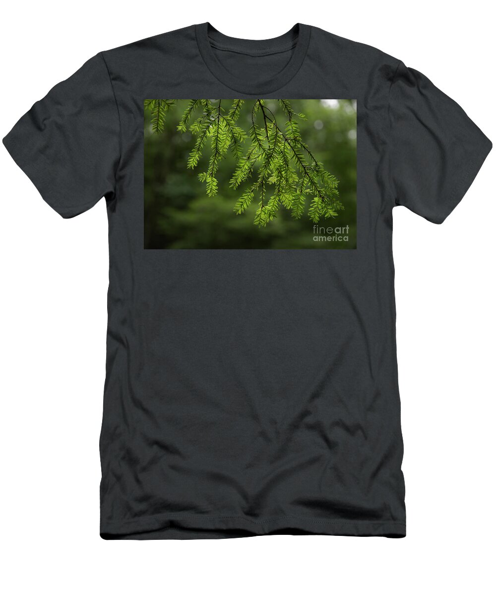 Pine T-Shirt featuring the photograph Scents Of Summer by Mike Eingle