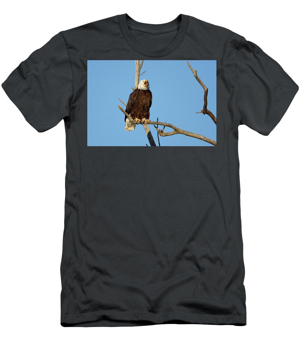 Bald Eagle T-Shirt featuring the photograph Screaming Eagle by Alan Hutchins