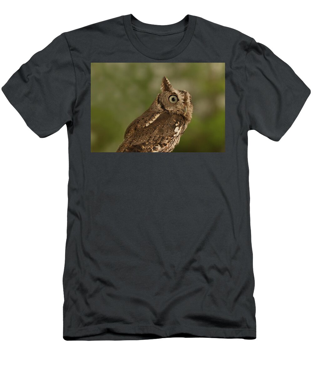 Owl T-Shirt featuring the photograph Screech Owl by Paul Rebmann