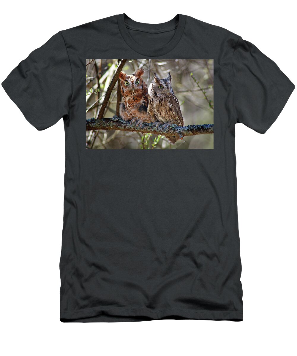 Screech Owl T-Shirt featuring the photograph Screech Owls by SC Shank