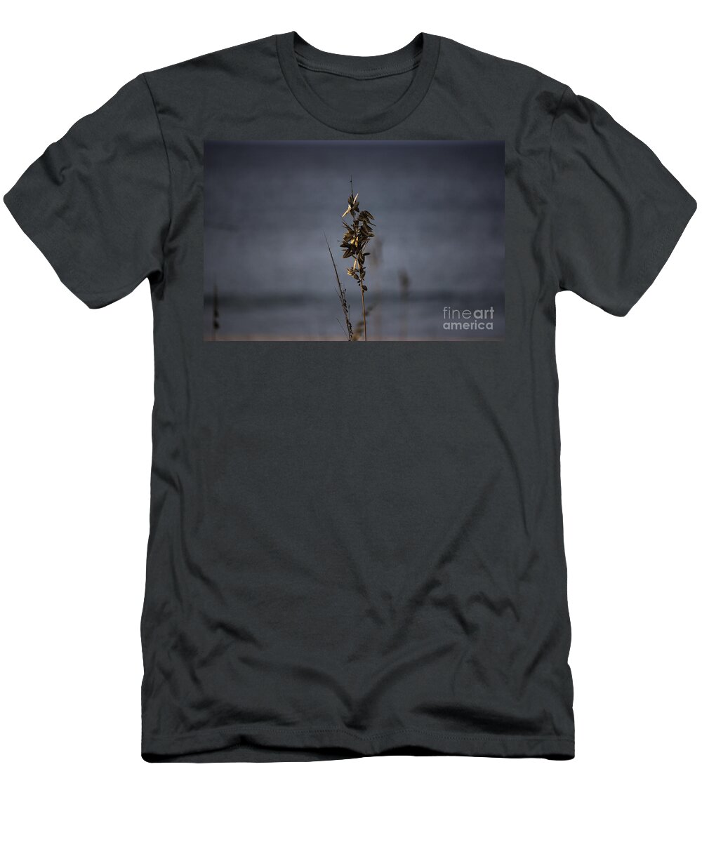 Sea Oat T-Shirt featuring the photograph Sea Oat by Roberta Byram
