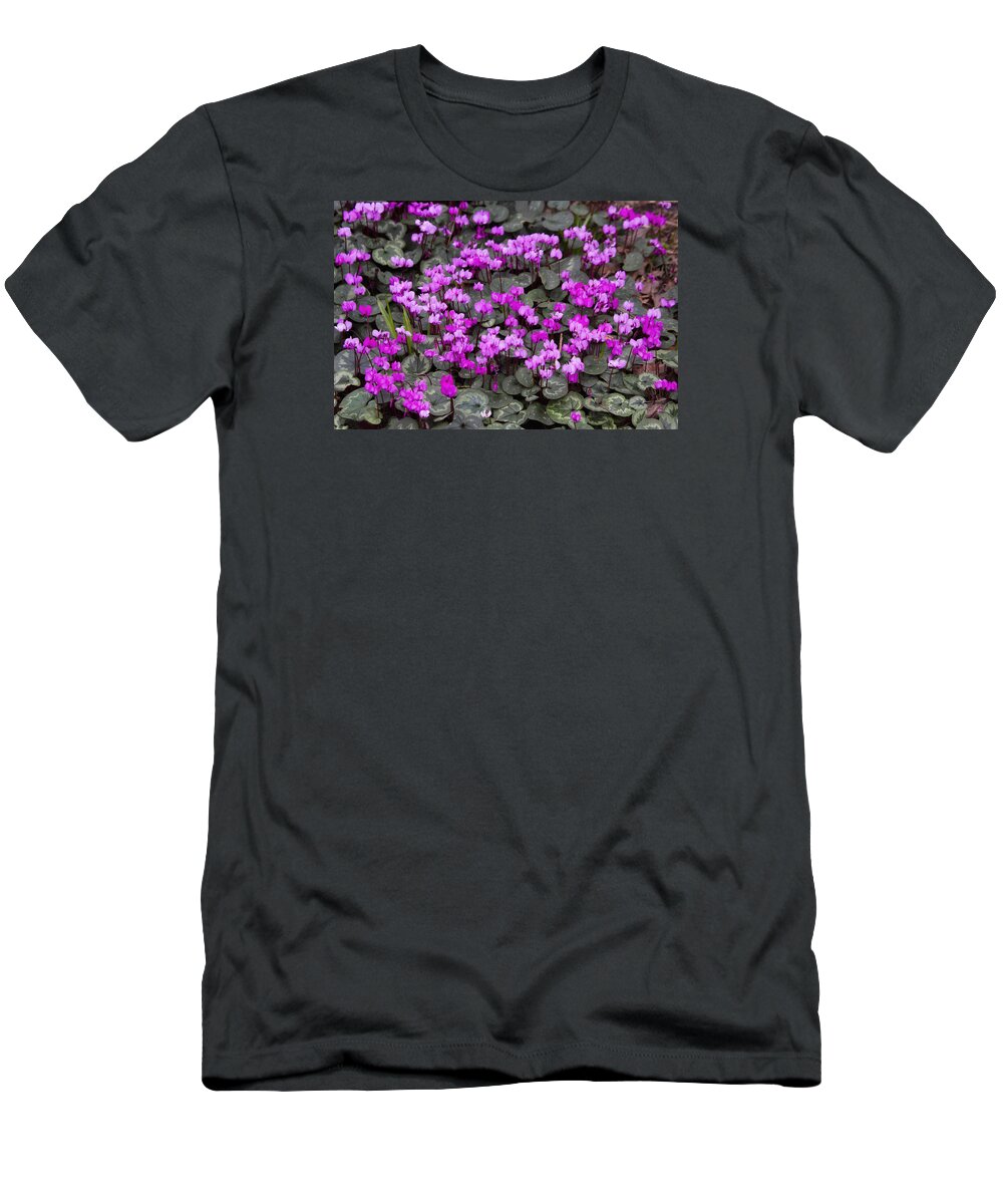 Floral T-Shirt featuring the photograph Sea of Cyclamen by Shirley Mitchell