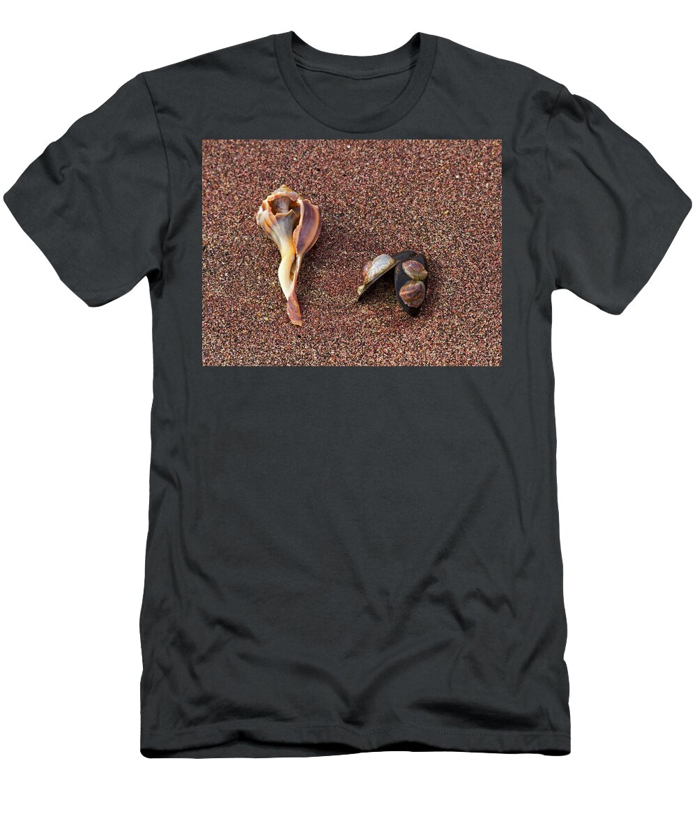 Sea Shells T-Shirt featuring the photograph Sea shells by David Freuthal