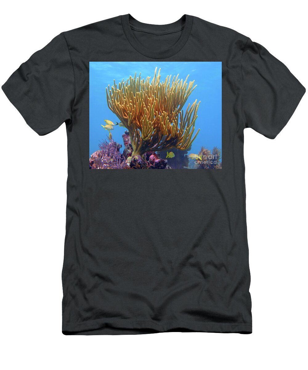 Underwater T-Shirt featuring the photograph Sea Whip by Daryl Duda