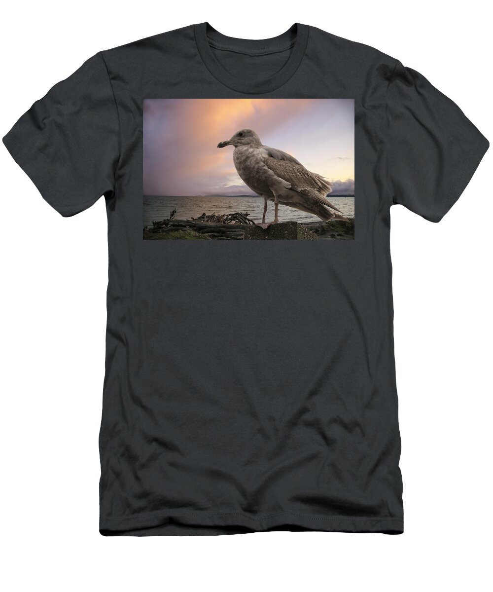 Seagull T-Shirt featuring the photograph Seagull At Sunset by Lorraine Baum