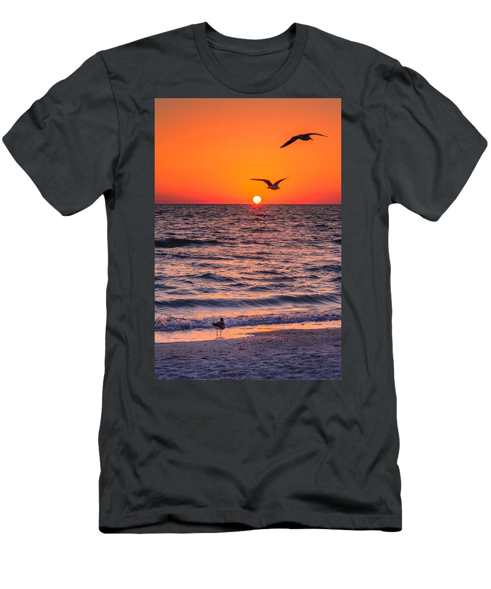 Beach T-Shirt featuring the photograph Seagull Hat-Trick by Craig Szymanski