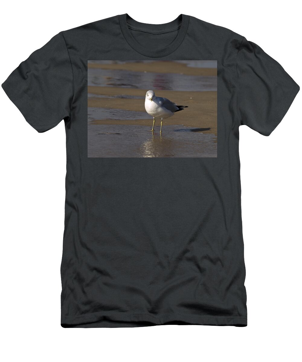 Bird T-Shirt featuring the photograph Seagull Standing by Tara Lynn