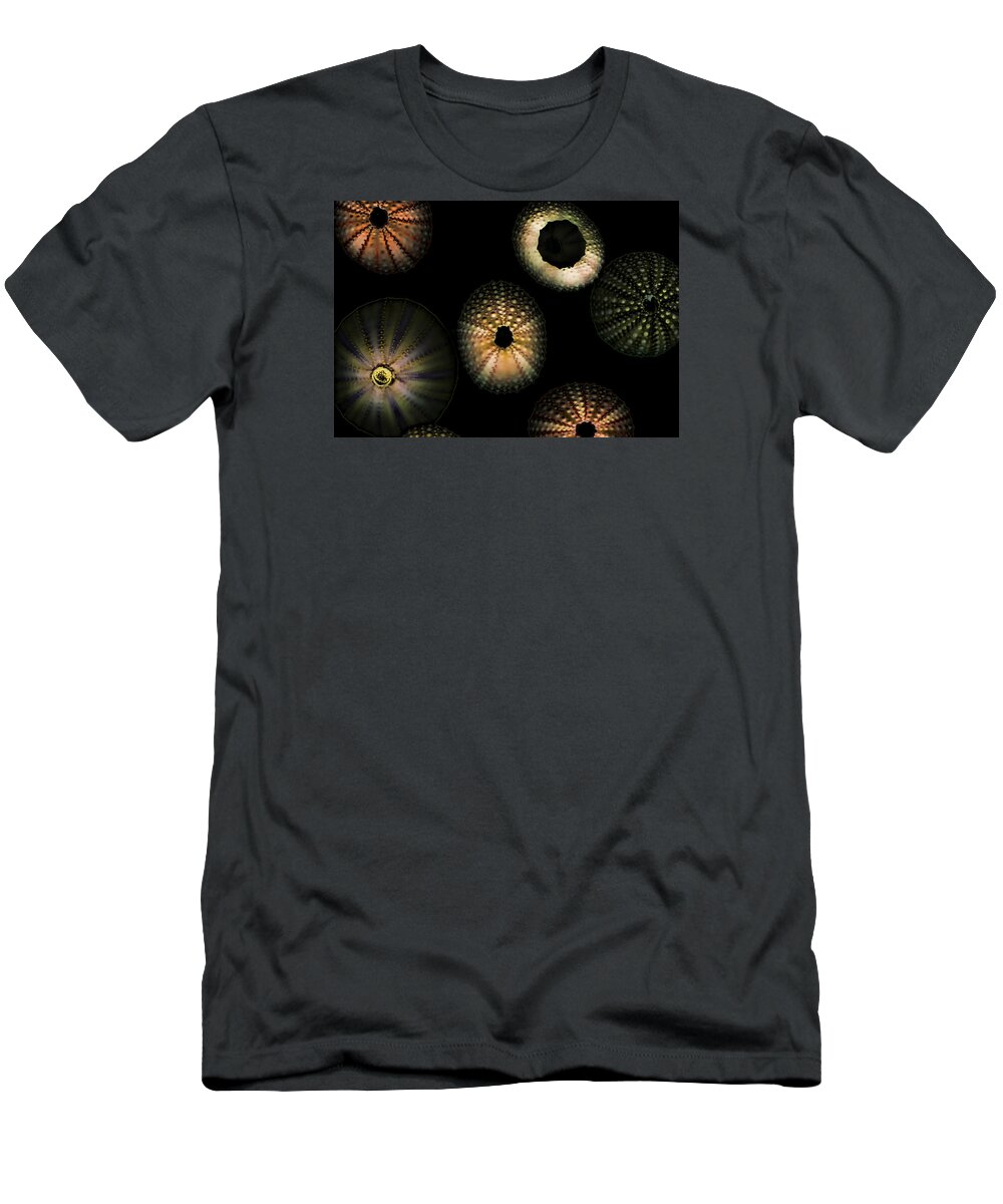 Sea Shells T-Shirt featuring the digital art Seashells glowing by Cathy Anderson