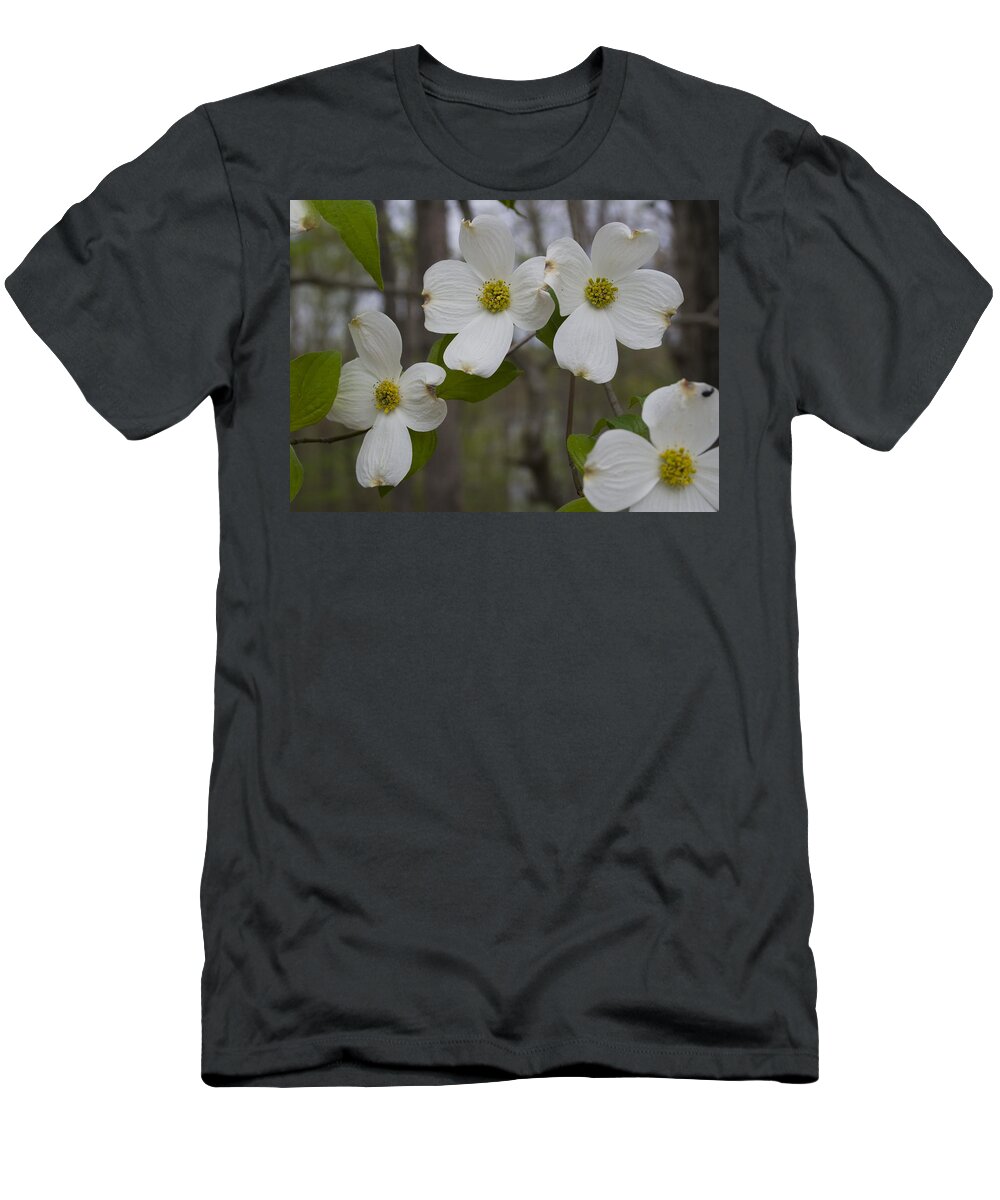 Flower T-Shirt featuring the photograph Season of Dogwood by Andrei Shliakhau