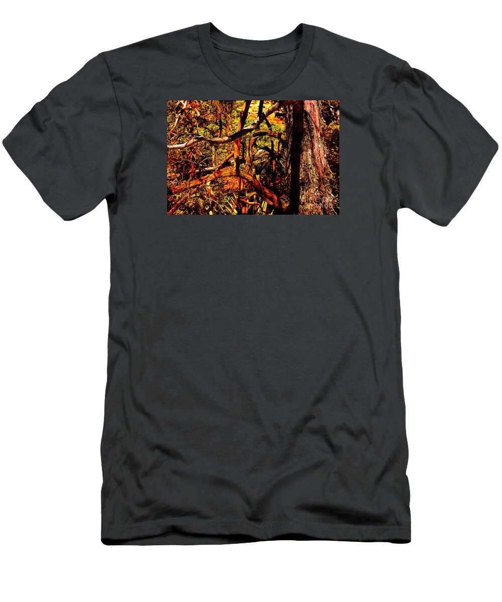 Sedona Branches T-Shirt featuring the photograph Sedona Branches by David Frederick
