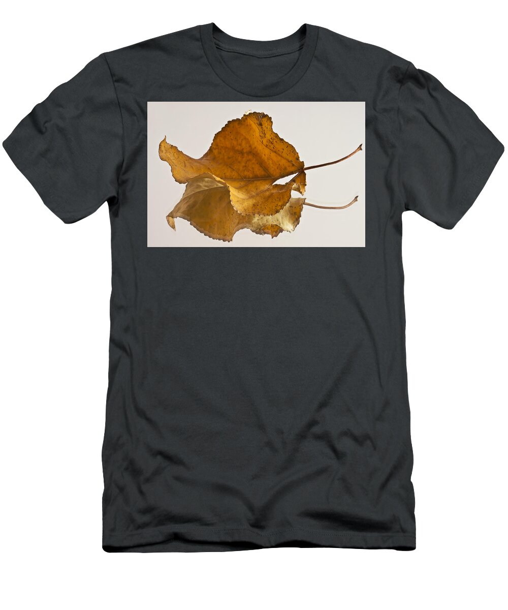 Poplar Leaf T-Shirt featuring the photograph Seeing Double Autumn Leaf by Sandra Foster