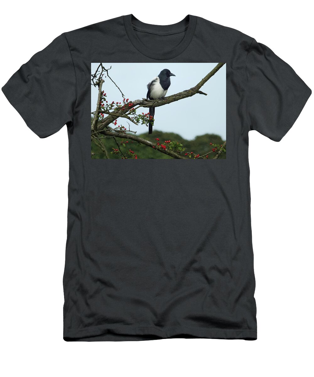 Magpie T-Shirt featuring the photograph September Magpie #1 by Philip Openshaw