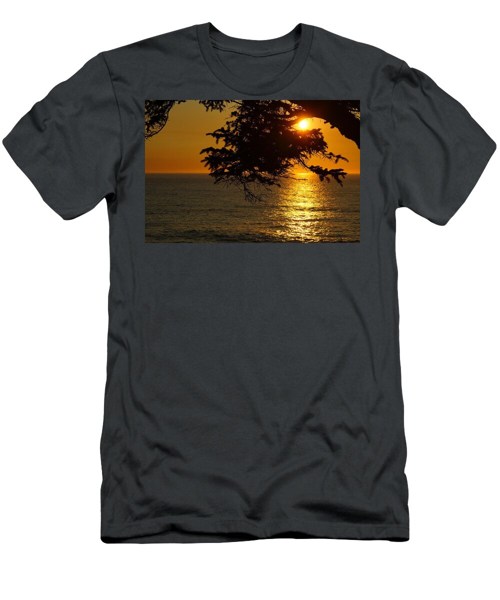 Oregon T-Shirt featuring the photograph Setting Sun by Beth Collins