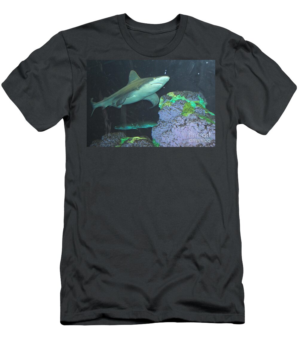Shark T-Shirt featuring the photograph Shark by Jost Houk