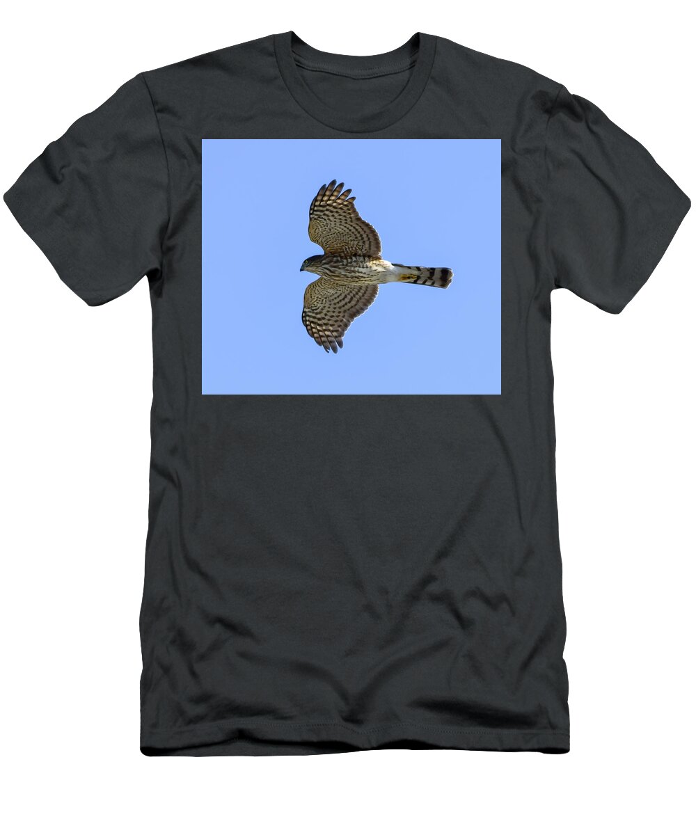Bird T-Shirt featuring the photograph Sharp-shinned Hawk - 1 by Alan C Wade