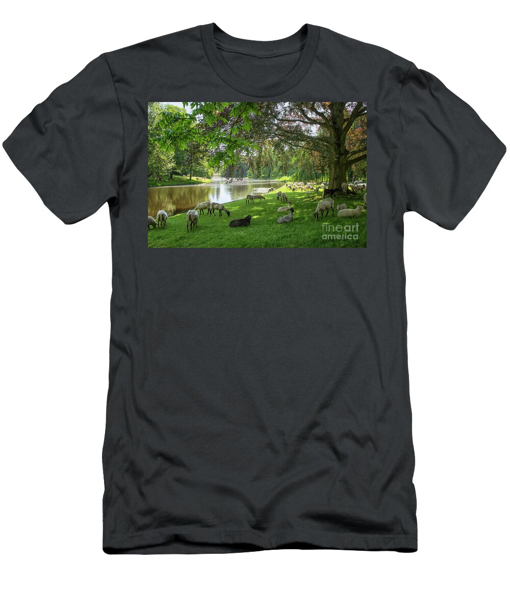 Animals T-Shirt featuring the photograph Sheep in a park by Patricia Hofmeester