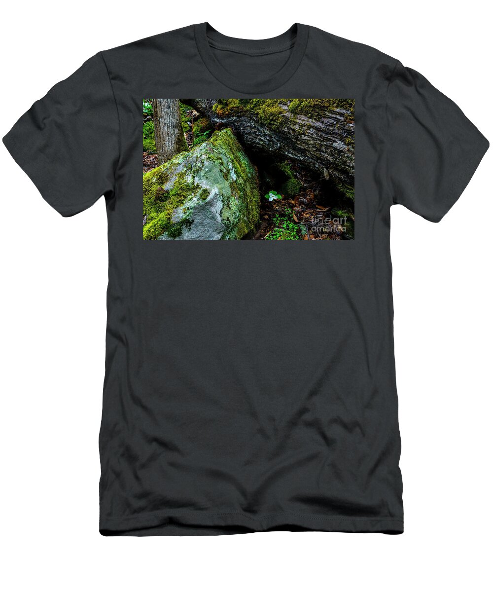 Dwarf White Trillium T-Shirt featuring the photograph Sheltered by the Rock by Thomas R Fletcher