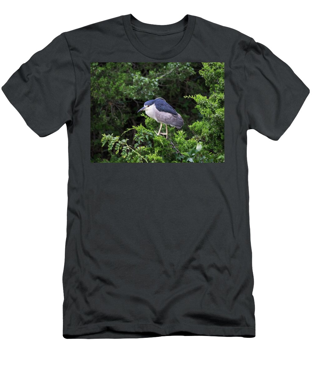 Birds T-Shirt featuring the photograph Shore Bird Roosting in a Tree by Paul Ross