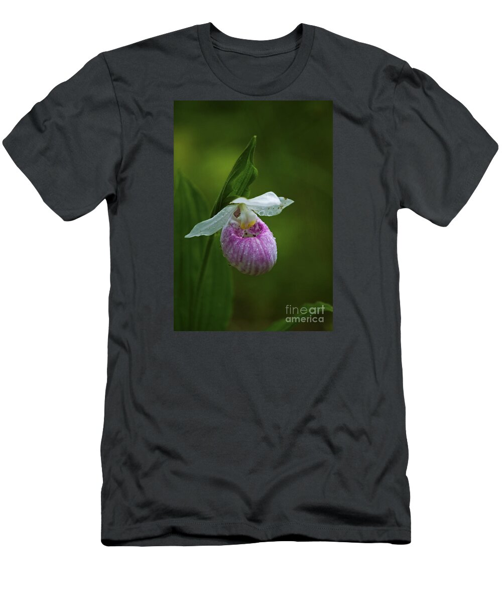 Showy Lady's Slipper T-Shirt featuring the photograph Showy Lady's Slipper.. by Nina Stavlund